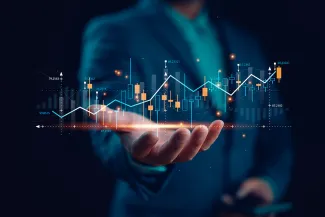 Investor investment planning and strategy