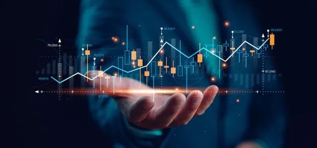 Investor investment planning and strategy